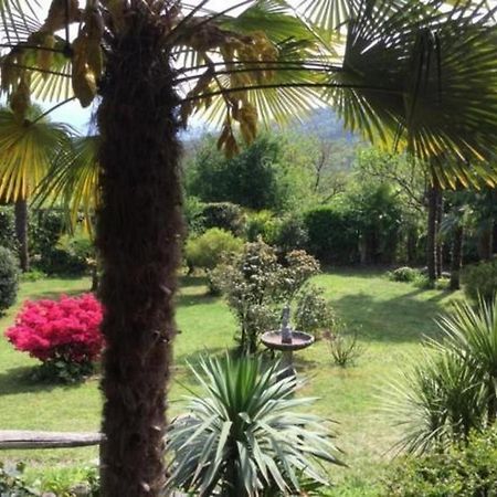 """Casa Elena -Tegna"" Die Ruheoase In Grossem Garten" מראה חיצוני תמונה