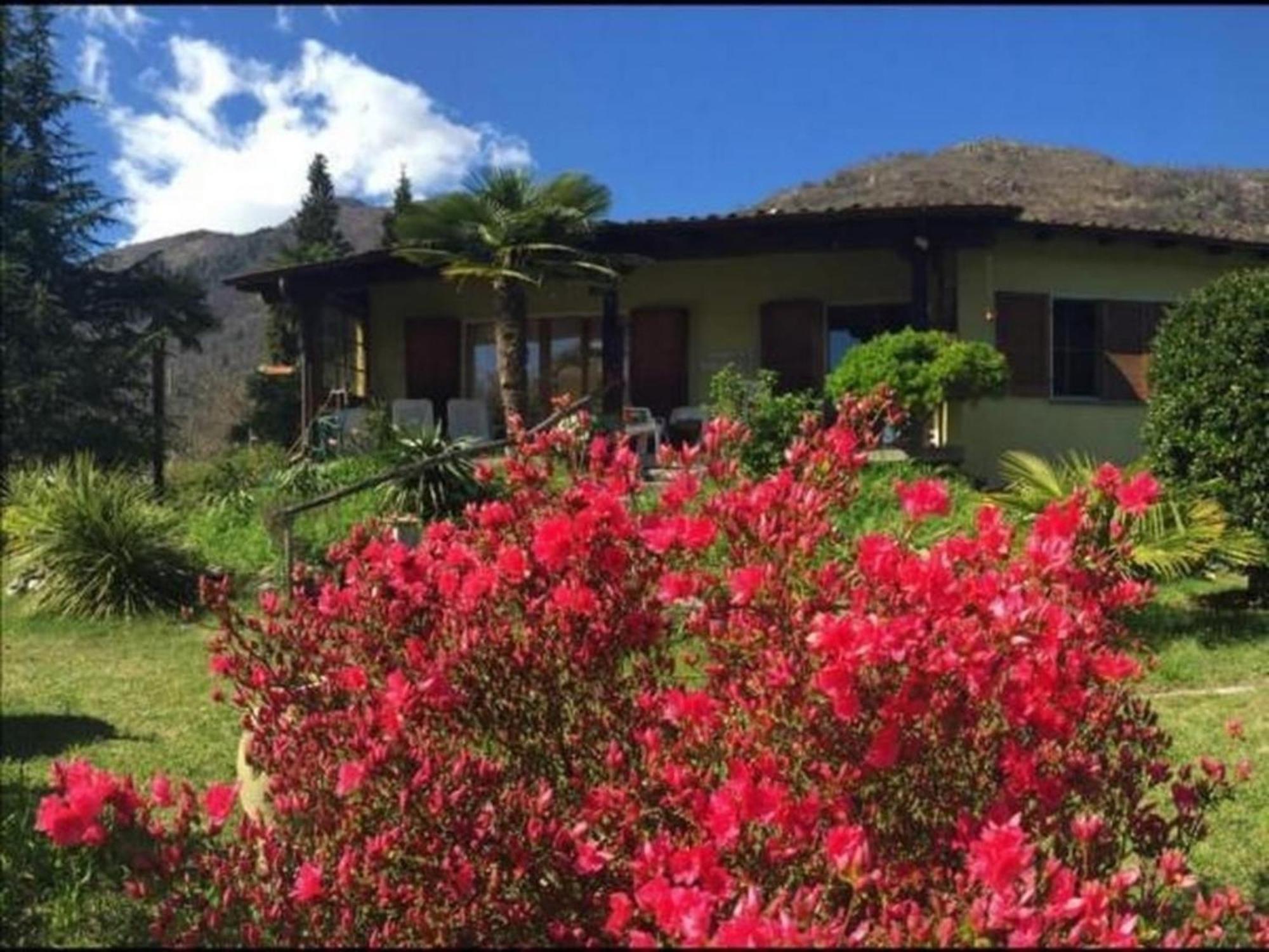 """Casa Elena -Tegna"" Die Ruheoase In Grossem Garten" מראה חיצוני תמונה